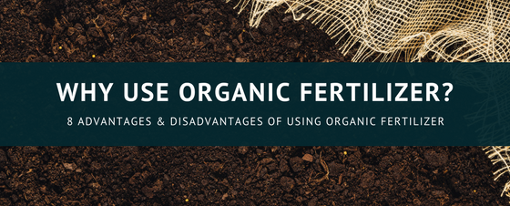 成都绿康有机肥有限公司_牛粪堆肥如何腐熟成为有机肥料