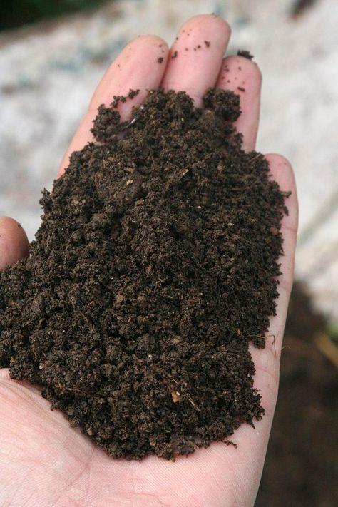 健康土壤的奥秘：有机质