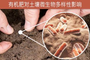 有机肥对农田土壤微生物群落多样性及土壤微环境的影响