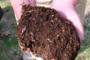 常用有机肥原料含量是多少？有机肥有哪些施用注意事项？