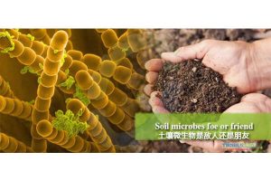 生物有机肥料与化学肥料有何不同？