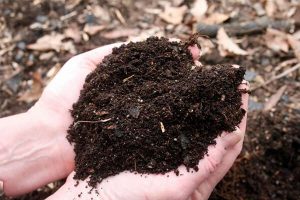 怎么利用有机肥来改善土壤？