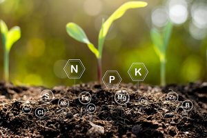 利用有机肥改善土壤结构：实现可持续农业的关键