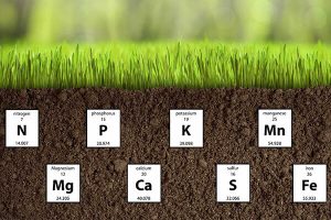 施用有机肥：土壤健康的长期护航