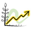 胡萝卜怎么施有机肥？基肥用量和追肥方法